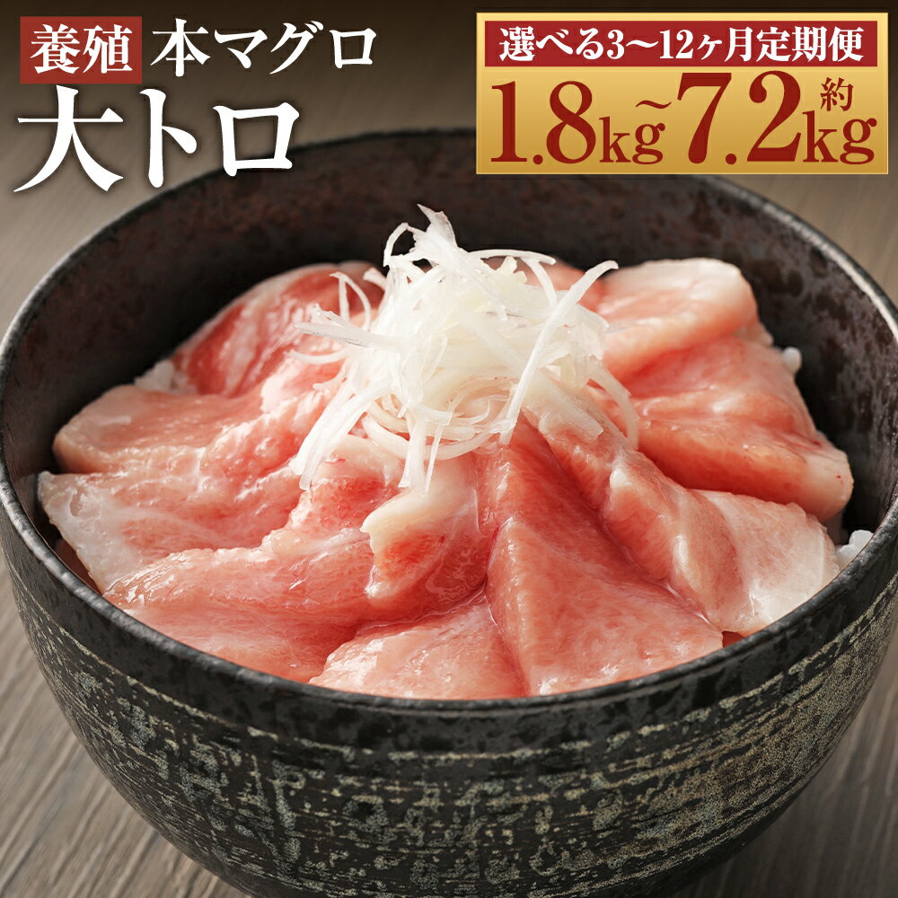 【ふるさと納税】【選べる定期便】長崎県産 本マグロ「大トロ」3ヶ月定期便/6ヶ月定期便/12ヶ月定期便 1回につき約600gお届け 選べる 定期便【大村湾漁業協...