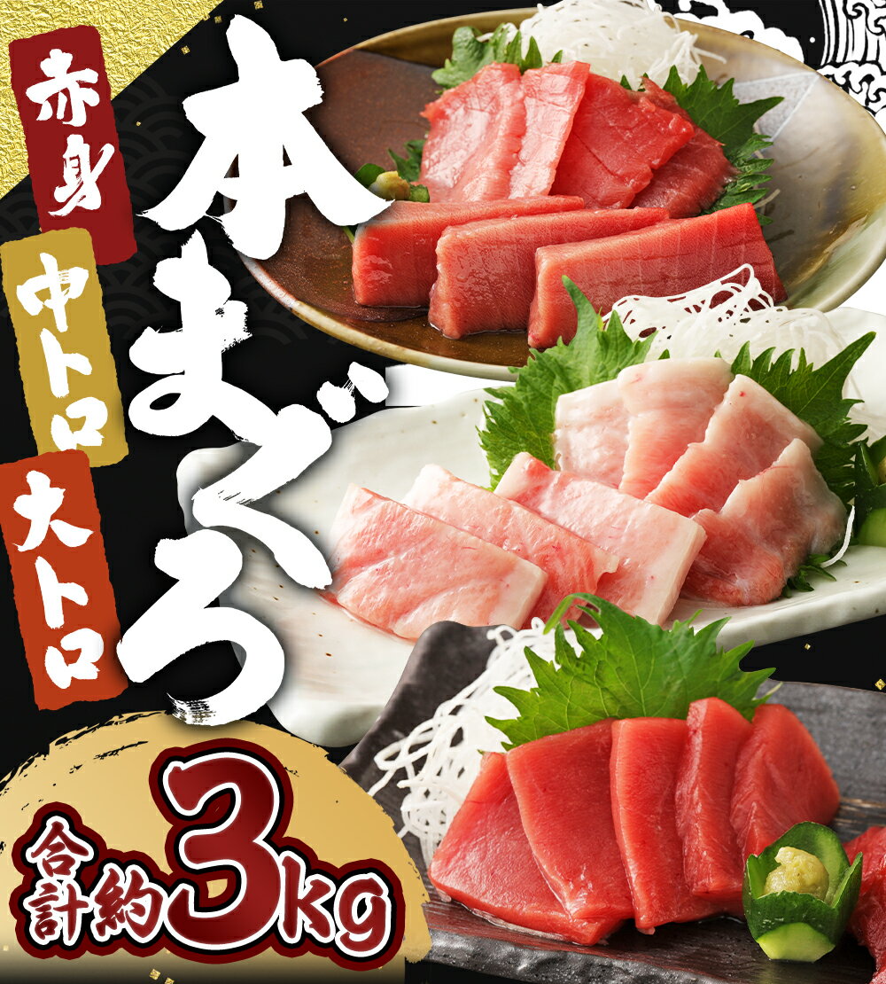 【ふるさと納税】 長崎県産 本マグロ3種盛り「大トロ・中トロ・赤身」約3.0kg【大村湾漁業協同組合】