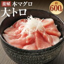 長崎県産 本マグロ「大トロ」約600g