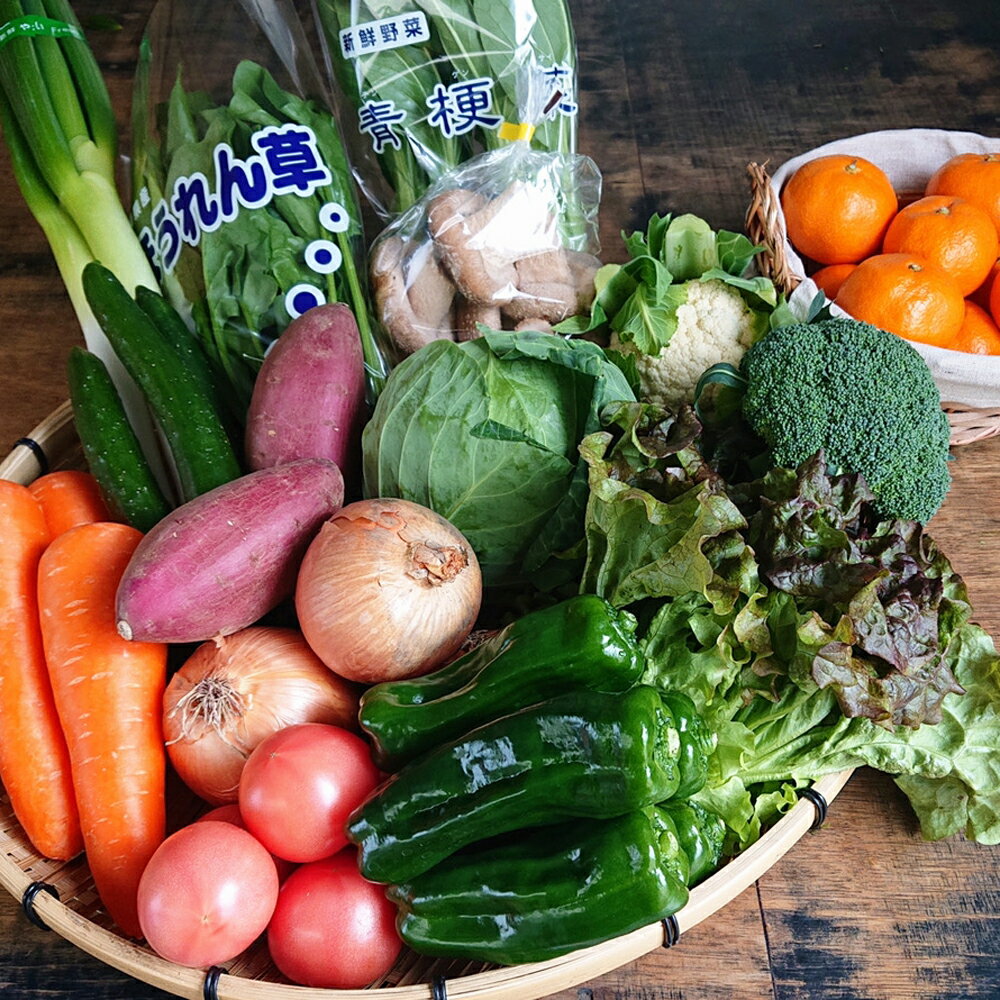 【ふるさと納税】野菜のプロ40年が届ける 厳選野菜セット！ 