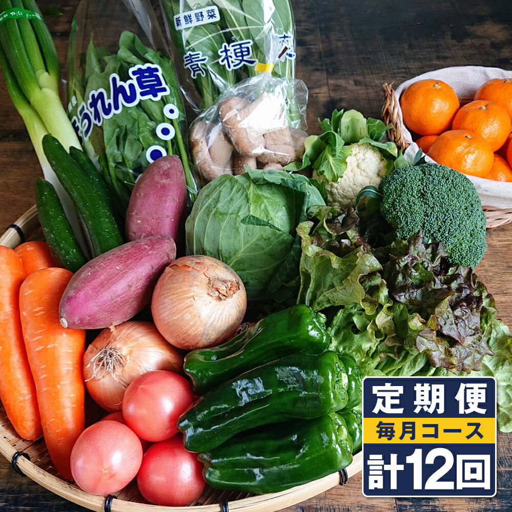 [定期便 毎月コース] 野菜のプロ40年が届ける 厳選野菜セット! 野菜・フルーツを15〜16品目 詰め合わせ 計12回 おまかせ 新鮮 果物 長崎県産 時津町産 九州産 国産 冷蔵 クール便 送料無料