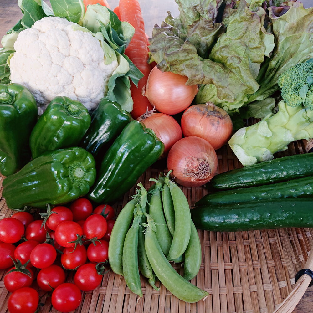 【ふるさと納税】野菜のプロ40年が届けるこだわり野菜セット！ 7～8品目 詰め合わせ セット 野菜 おまかせ 新鮮 長崎県産 時津町産 九州産 国産 冷蔵 クール便 春 旬 春野菜 送料無料