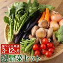 【ふるさと納税】【選べる定期便】野菜のプロ40年が届けるこだわり野菜セット 3ヶ月/6ヶ月/12ヶ月/偶数月6回/奇数月6回 1回につき7〜8品目お届け 野菜 ...