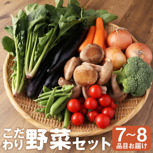 【ふるさと納税】野菜のプロ40年が届けるこだわり野菜セット! 7~8品目 詰め合わせ 【2026年1月上旬より順次発送予定】 セット 野菜 おまかせ 新鮮 長崎県産 時津町産 九州産 国産 冷蔵 クール便 春 旬 春野菜 送料無料