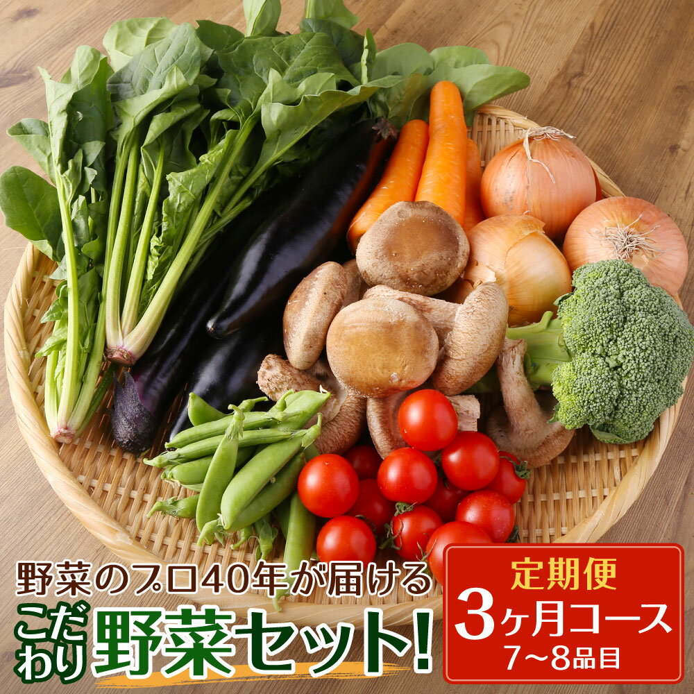 [定期便 3ヶ月コース]野菜のプロ40年が届けるこだわり野菜セット! 7〜8品目×3回お届け 野菜 セット 詰め合わせ 毎月 3ヶ月 国産 九州産 長崎県 時津町 クール便 送料無料