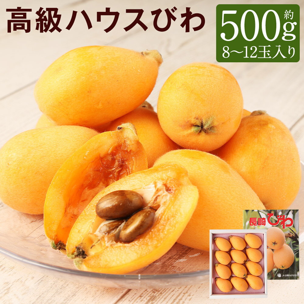 【ふるさと納税】長崎 高級ハウスびわ 約500g 8玉〜12玉入り 枇杷 フルーツ 国産 長崎県産 九州産 化粧箱入り ギフト 贈り物 送料無料【2026年4月...