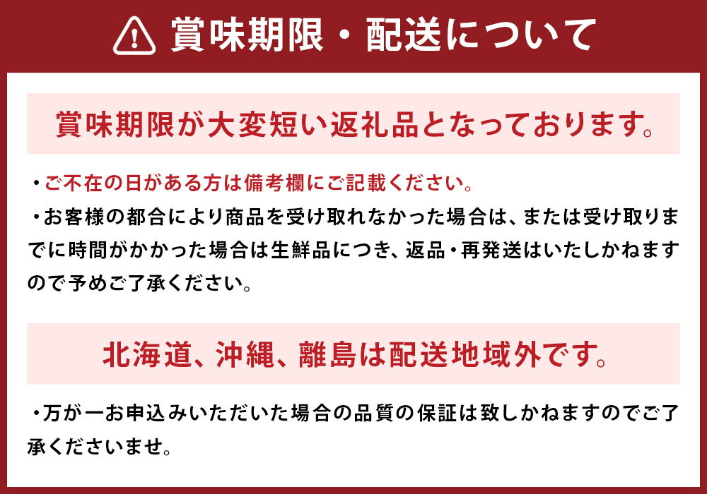 【ふるさと納税】長崎 高級ハウスびわ 約500g 8玉～12玉入り 枇杷 フルーツ 国産 長崎県産 九州産 化粧箱入り ギフト 贈り物 送料無料【2024年4月下旬より順次発送予定】