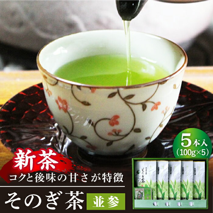 【2024新茶】そのぎ茶 (並参) 100g×5袋入り 茶 お茶 緑茶 茶葉 東彼杵町/酒井製茶 [BBV011] 新茶 新ちゃ しんちゃ