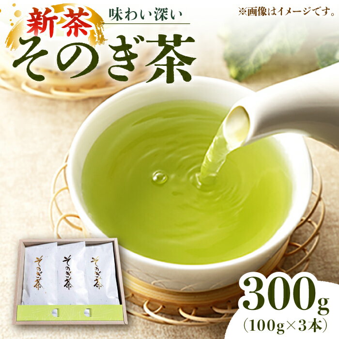 【2024新茶】そのぎ茶 100g×3袋入り 茶 お茶 緑茶 日本茶 茶葉 東彼杵町/勝野製茶 [BCJ001] 新茶 新ちゃ しんちゃ