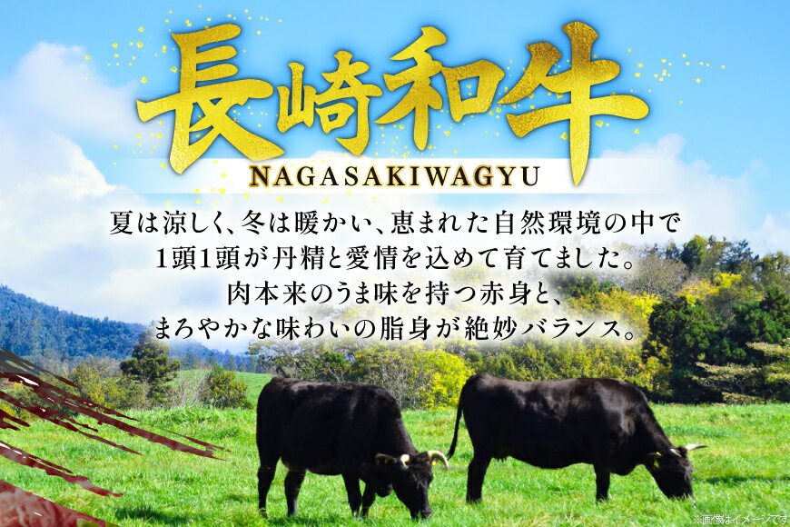 長崎県東彼杵町の画像3