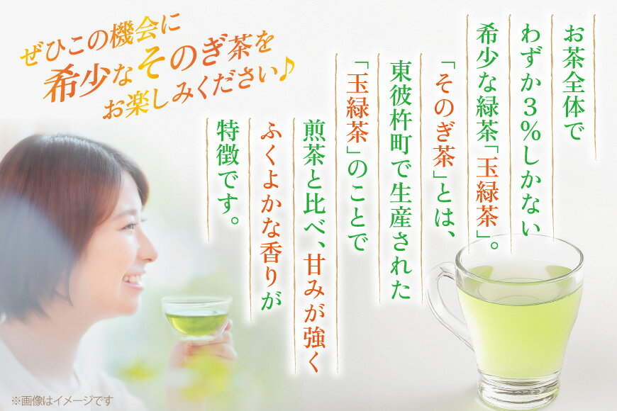 【ふるさと納税】 茶 お茶 緑茶 長崎 そのぎ茶 定期便 毎月 彼杵茶 玉緑茶 アルミボトル 290ml 24本 9回 総計72本 [彼杵の荘 長崎県 東彼杵町 hs42bag270022] 月に1回 ペットボトル 約 300ml 300