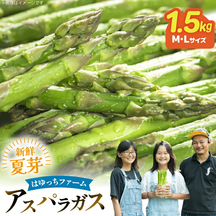 【ふるさと納税】アスパラ アスパラガス 夏芽アスパラガス 1.5kg M L サイズ混合 [はゆっちFARM 長崎県 東彼杵町 hs42bag360005] アスパラ あすぱら 新鮮 夏