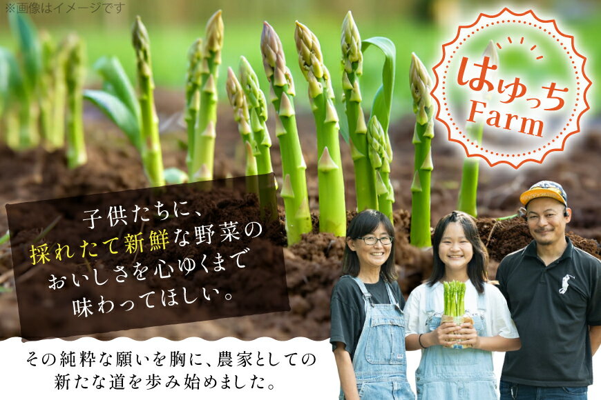 【ふるさと納税】 アスパラ アスパラガス 春芽アスパラガス 1kg M L サイズ混合 [はゆっちFARM 長崎県 東彼杵町 hs42bag360012] アスパラ あすぱら 新鮮 春