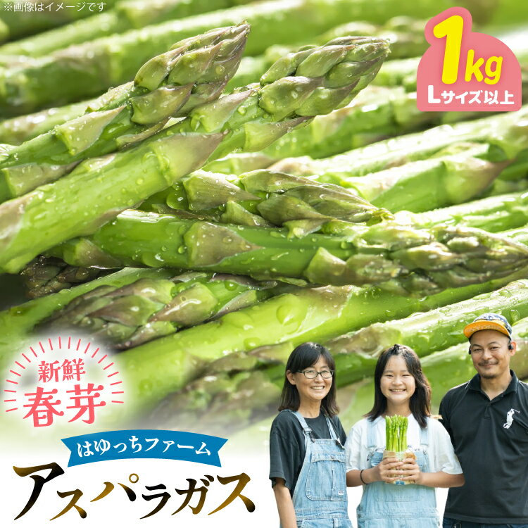 アスパラ アスパラガス 春芽アスパラガス 1kg L サイズ以上 [はゆっちFARM 長崎県 東彼杵町 hs42bag360013] アスパラ あすぱら 新鮮 春