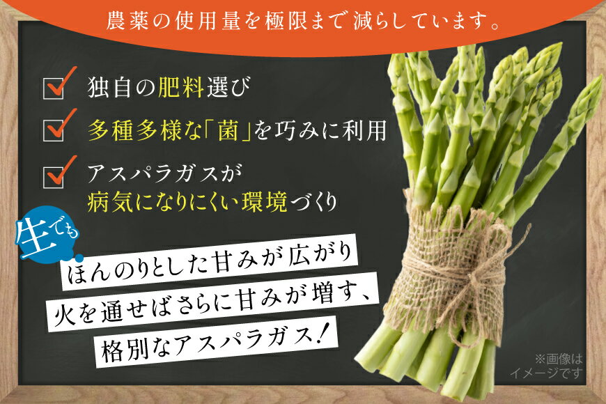【ふるさと納税】 アスパラ アスパラガス 春芽アスパラガス 3kg L サイズ以上 [はゆっちFARM 長崎県 東彼杵町 hs42bag360017] アスパラ あすぱら 新鮮 春