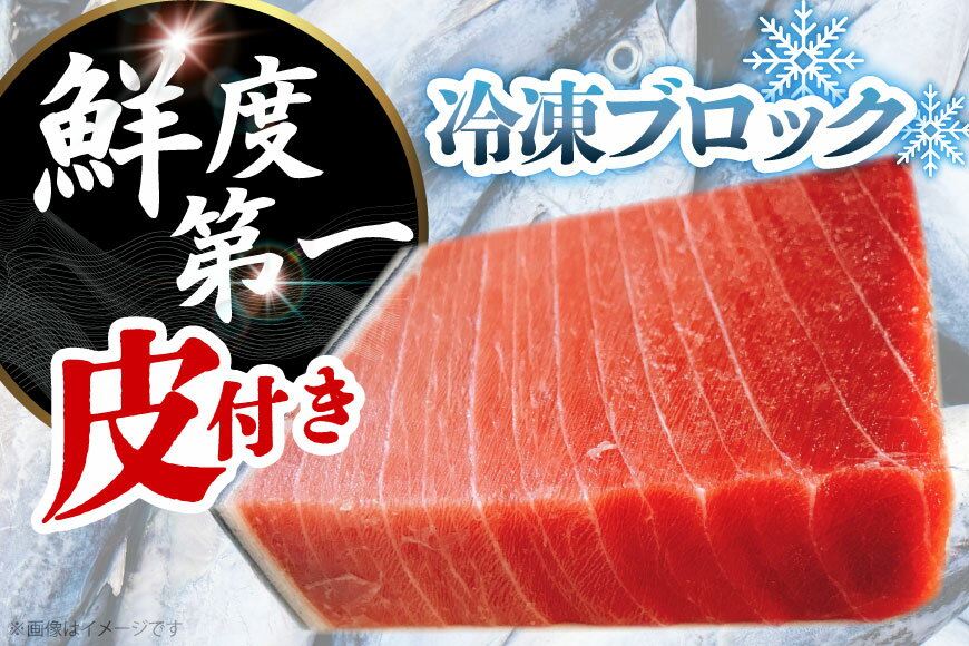 【ふるさと納税】 まぐろ マグロ 中トロ 長崎県産 本マグロ 中トロ 約700g 皮付き [大村湾漁業 長崎県 東彼杵町 hs42bag670024] まぐろたたき まぐろのたたき 鮪 刺身 刺し身 マグロ丼 冷凍