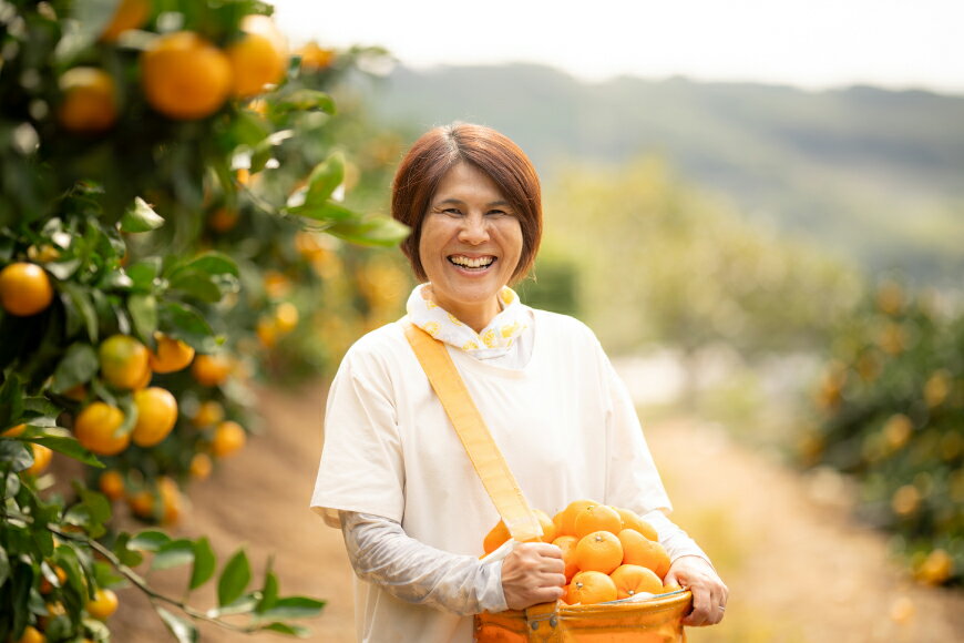 【ふるさと納税】 【期間限定発送】 【先行予約100個限定】みかん 温州みかん 10kg [長崎県 東彼杵町 hs42bag330003] 果物 くだもの フルーツ ミカン 柑橘 国産 長崎産 東彼杵 数量限定 期間限定