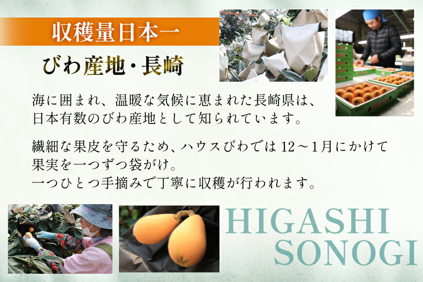 【ふるさと納税】 長崎 びわ 長崎県産 ハウスびわ 500g 化粧箱入 つめあわせ 【2026年3月順次発送】[JAながさき県央グリーン東彼 長崎県 東彼杵町 hs42bag450001] 枇杷 長崎びわ ビワ フルーツ