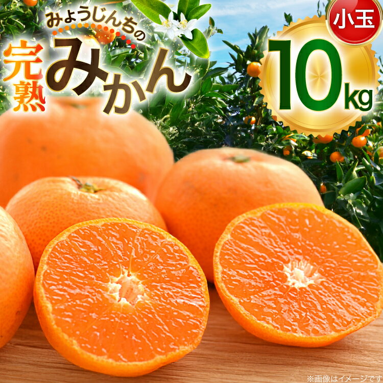 【ふるさと納税】 みかん 小玉 10kg みょうじんちの完熟みかん【限定50箱】[カンキツ産直「明時家」 長..