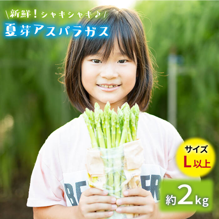 13位! 口コミ数「1件」評価「5」【生で食べれるほどの新鮮さ】夏芽アスパラガス2kg (Lサイズ以上) アスパラガス アスパラ 野菜 新鮮 夏野菜 東彼杵町/はゆっちFarm･･･ 