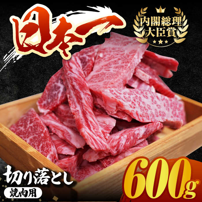 長崎和牛 切り落とし(焼肉用)600g 赤身 霜降り 部位ミックス BBQ やきにく うまい ジューシー 東彼杵町/有限会社大川ストアー 