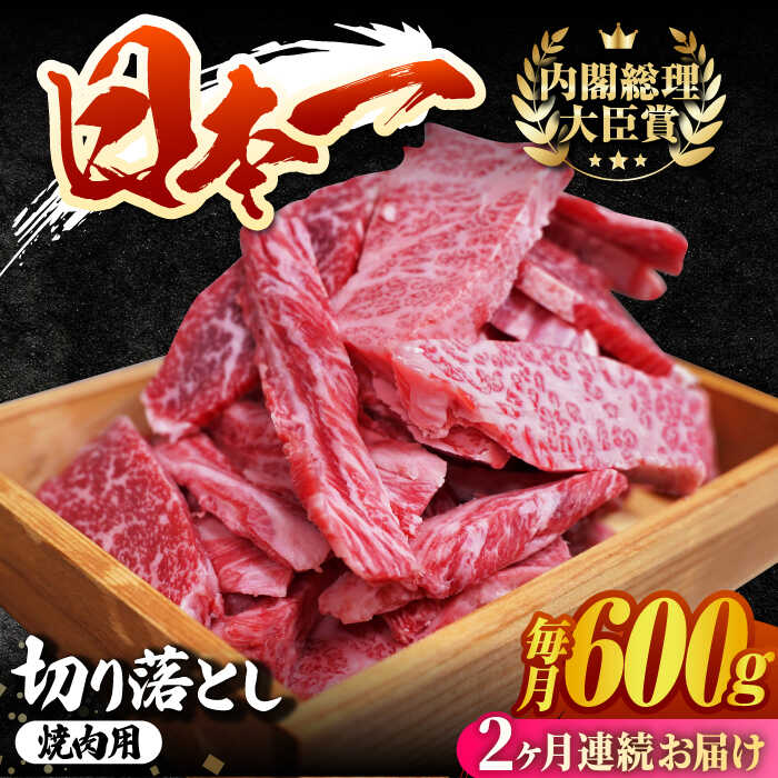 【ふるさと納税】【2回定期便】 長崎和牛 切り落とし（焼肉用）600g 赤身 霜降り 部位ミックス BBQ やきにく うまい ジューシー 東彼杵町/有限会社大川ストアー [BAJ108]