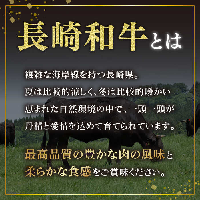 【ふるさと納税】【3回定期便】 長崎和牛 切り落とし（焼肉用）600g 赤身 霜降り 部位ミックス BBQ やきにく うまい ジューシー 東彼杵町/有限会社大川ストアー [BAJ109]