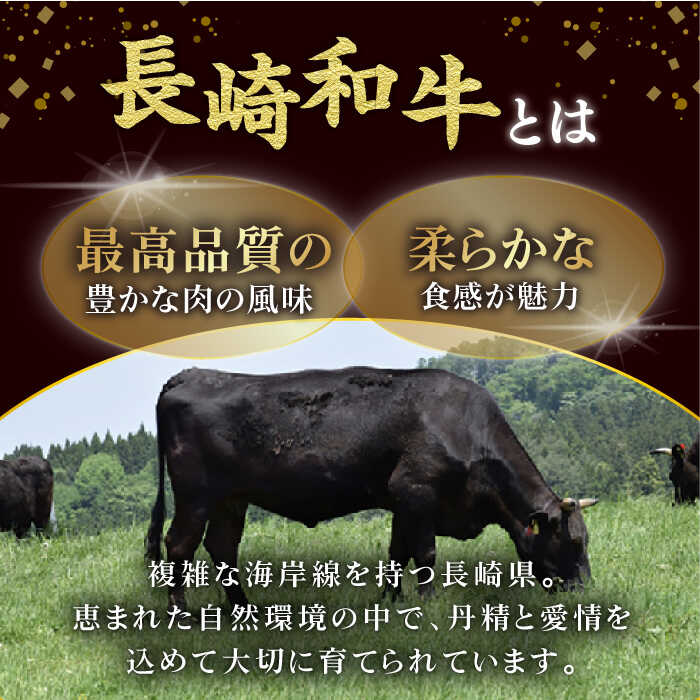 【ふるさと納税】 BAJ013 【長崎和牛】牛肉 切り落し 500g【全国和牛共進会日本一！】