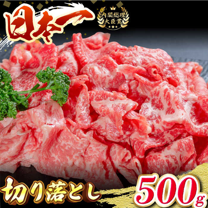 【ふるさと納税】 BAJ013 【長崎和牛】牛肉 切り落し 500g【全国和牛共進会日本一！】