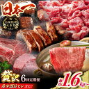 長崎和牛 希少部位ヒレを含む！贅沢定期便 ロース もも モモ肉 ヒレステーキ すき焼き しゃぶしゃぶ 東彼杵町/有限会社大川ストアー 