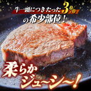 【ふるさと納税】【3回定期便】長崎和牛 ヒレ 120×3枚 ヒレステーキ ヒレ フィレ ステーキ肉 大人気 希少部位 東彼杵町/有限会社大川ストアー [BAJ099] 3