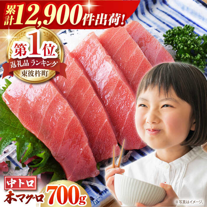 長崎県産 本マグロ「中トロ」(約700g) 中トロ 中とろ 大人気 おススメ まぐろ 鮪 さしみ 刺身 刺し身 冷凍 とろ トロ ブロック 柵 東彼杵町/大村湾漁業協同組合 