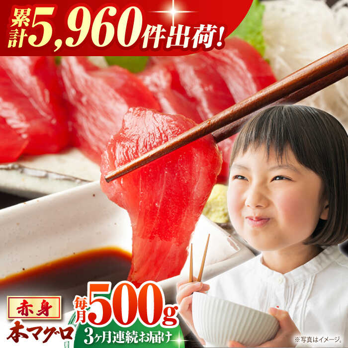 【ふるさと納税】【全3回定期便(月1回)】長崎県産 本マグロ 赤身 約500g まぐろ 鮪 さしみ 刺身 刺し...