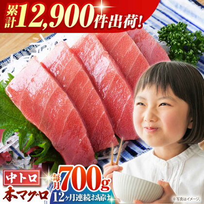 【全12回定期便(月1回)】長崎県産 本マグロ 中トロ皮付き 約700g 【大村湾漁業協同組合】 [BAK027]/ 中トロ 中とろ 大人気 おススメ まぐろ 鮪 さしみ 刺身 刺し身 冷凍 とろ トロ ブロック 柵 定期便