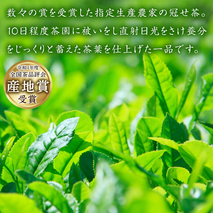 【ふるさと納税】【2024新茶】そのぎ茶 (極上) 100g×3袋入り 茶 お茶 茶葉 日本茶 東彼杵町/池田茶園 [BAL002] 新茶 新ちゃ しんちゃ