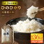 ڤդ뤵Ǽǡ5ǯٻ12(1)ھͯơҤΤҤ(3kg12) / Į / ھߤΤβ /    դä ĥĥ Ť  3kg [BAV003]