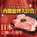 【ふるさと納税】長崎和牛 贅沢 ヒレ・サーロイン 食べ比べ 計700g セット ステーキ 肉 お肉 牛肉 和牛 希少部位 ヒレ ヒレ肉 フィレ 東彼杵町/黒牛 [BBU004] 2