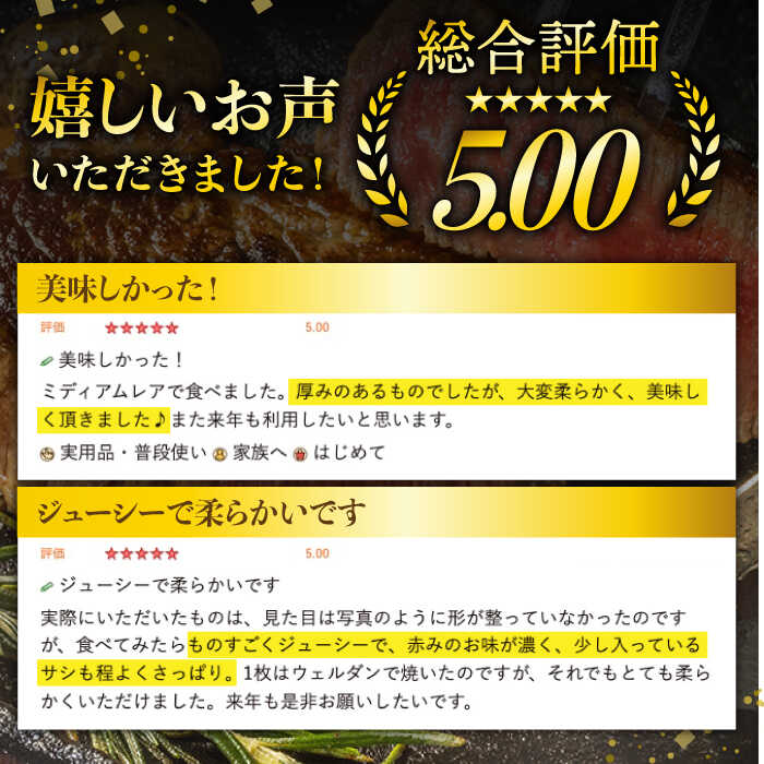 【ふるさと納税】【全12回定期便】長崎和牛 ヒレステーキ 計9.6kg (約200g×4枚/回) 肉 お肉 牛肉 赤身 和牛 希少部位 ヒレ ステーキ ヒレ肉 フィレ 東彼杵町/黒牛 [BBU008]