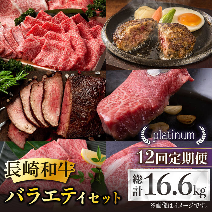 【全12回定期便】長崎和牛 バラエティセット「プラチナ」 総計16.6kg 肉 お肉 牛肉 和牛 ロース ザブトン ヒレ フィレ ヘレ モモ もも ハンバーグ ローストビーフ しゃぶしゃぶ ステーキ 東彼杵町/黒牛 [BBU014]