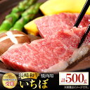 【ふるさと納税】長崎和牛 焼肉用 いちぼ 500g 希少部位 肉 お肉 牛肉 赤身 和牛 焼肉 BBQ 東彼杵町/黒牛 [BBU027]