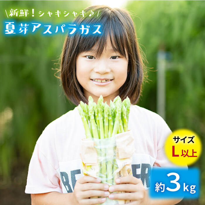 8位! 口コミ数「0件」評価「0」【生で食べれるほどの新鮮さ】夏芽アスパラガス 3.0kg (Lサイズ以上) アスパラガス アスパラ 野菜 新鮮 夏野菜 東彼杵町/はゆっちF･･･ 