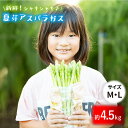 【ふるさと納税】【生で食べれるほどの新鮮さ】夏芽アスパラガス 4.5kg (M・Lサイズ) アスパラガス アスパラ 野菜 新鮮 夏野菜 東彼杵町/はゆっちFarm [BBW005]