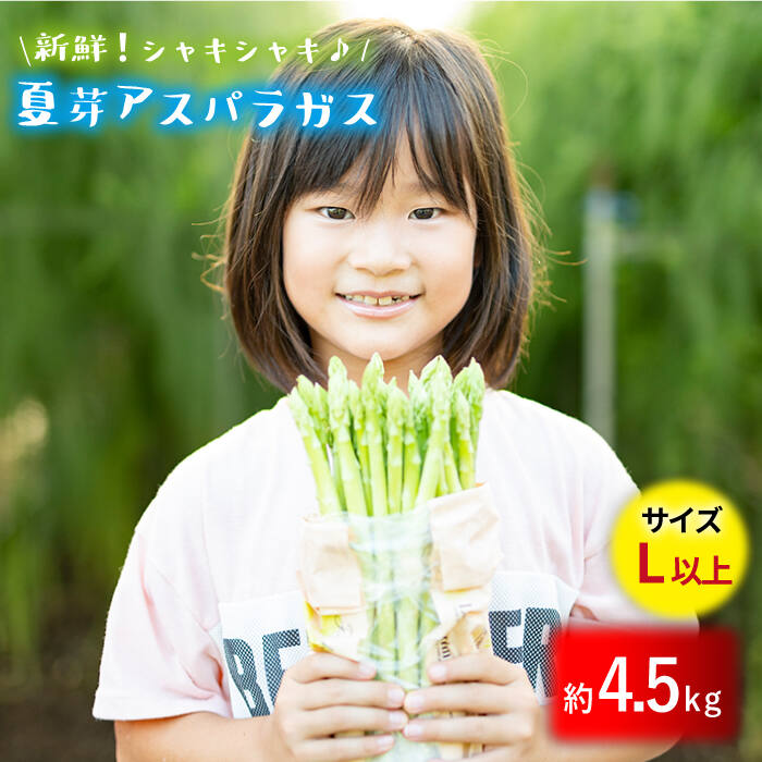 【ふるさと納税】【生で食べれるほどの新鮮さ】夏芽アスパラガス4.5kg (Lサイズ以上) アスパラガス ア..