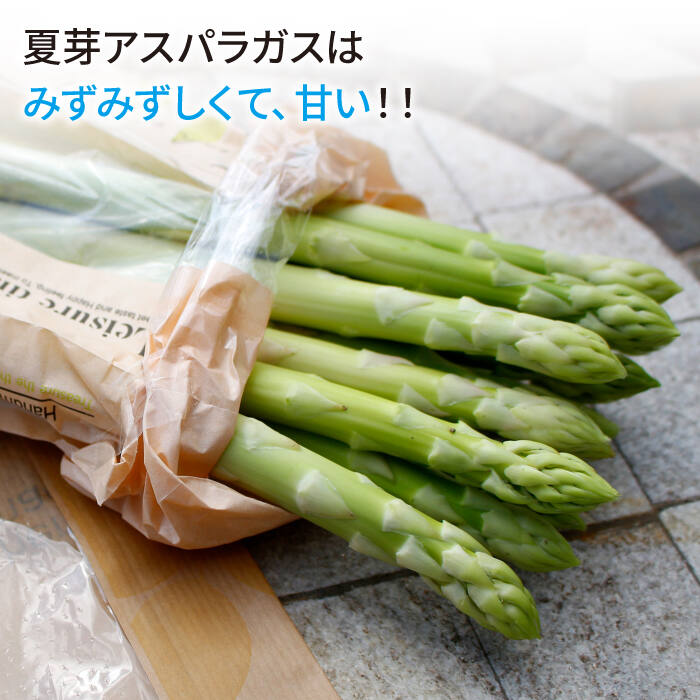 【ふるさと納税】＜先行予約＞【3回定期便】夏芽アスパラガス1.5kg（MLサイズ混合）【はゆっちFarm】 [BBW016]