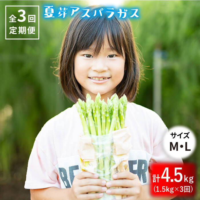 9位! 口コミ数「0件」評価「0」＜先行予約＞【3回定期便】夏芽アスパラガス1.5kg（MLサイズ混合）【はゆっちFarm】 [BBW016]