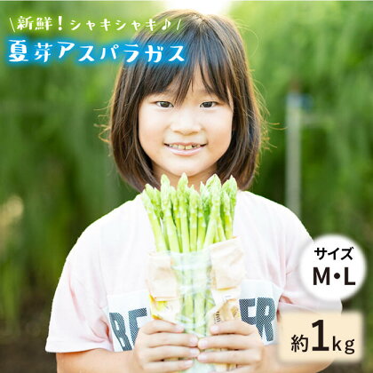 【生で食べれるほどの新鮮さ】夏芽アスパラガス1kg（M・Lサイズ混合) アスパラガス アスパラ 野菜 新鮮 夏野菜 東彼杵町/はゆっちFarm [BBW017]