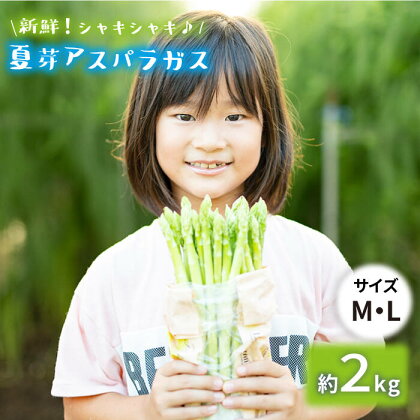 【生で食べれるほどの新鮮さ】夏芽アスパラガス2kg (M・Lサイズ混合) アスパラガス アスパラ 野菜 新鮮 夏野菜 東彼杵町/はゆっちFarm [BBW019]