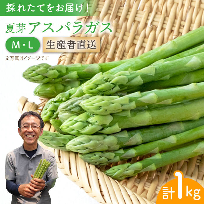 【ふるさと納税】夏芽アスパラガス 1kg（ML混合）アスパラガス アスパラ 野菜 新鮮 夏野菜 あすぱらが..