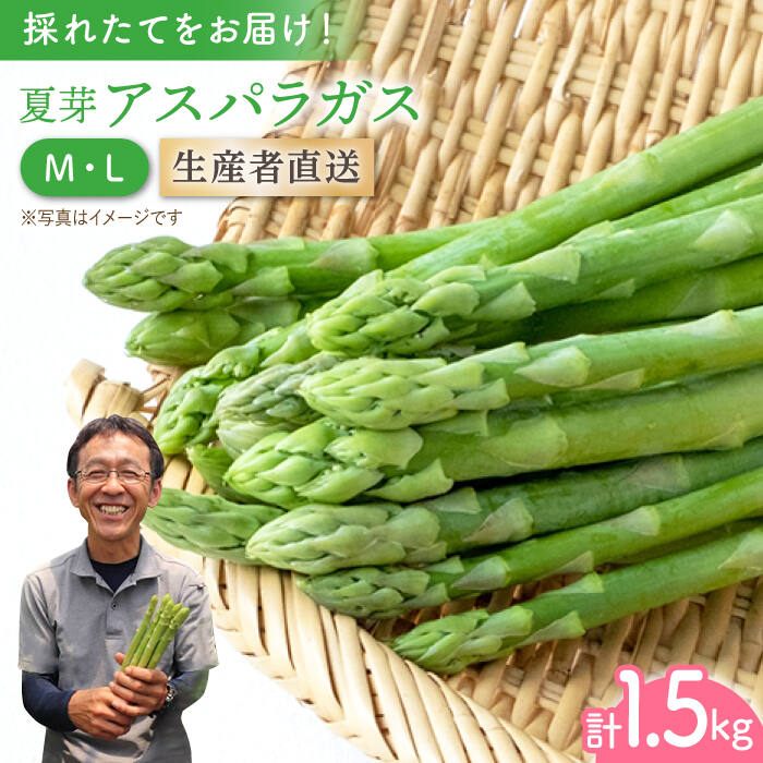 【ふるさと納税】夏芽アスパラガス 1.5kg（ML混合【前平農園】 [BCG003]