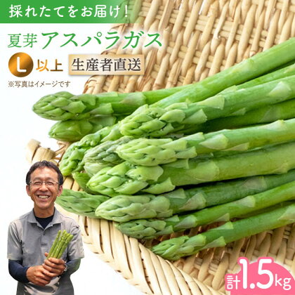 夏芽アスパラガス 1.5kg（L以上）【前平農園】 [BCG004]